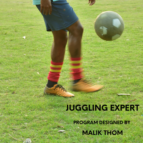Juggling Expert Program